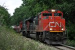 CN 501